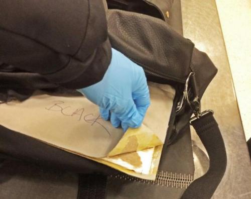 Two and one-half pounds of cocaine concealed inside baggage at Philadelphia International Airport